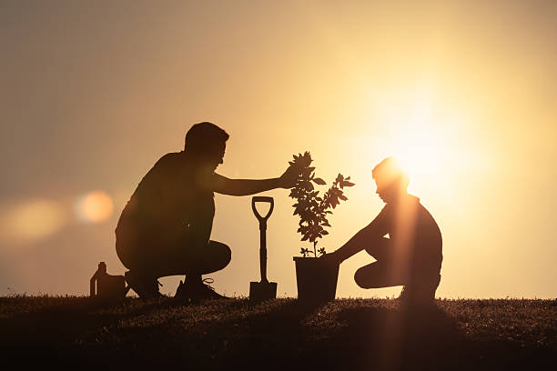 istock Parent Child, father and son Planting a Tree at Sunset, Symbolizing Growth, Help, and Community Spirit 2235686567