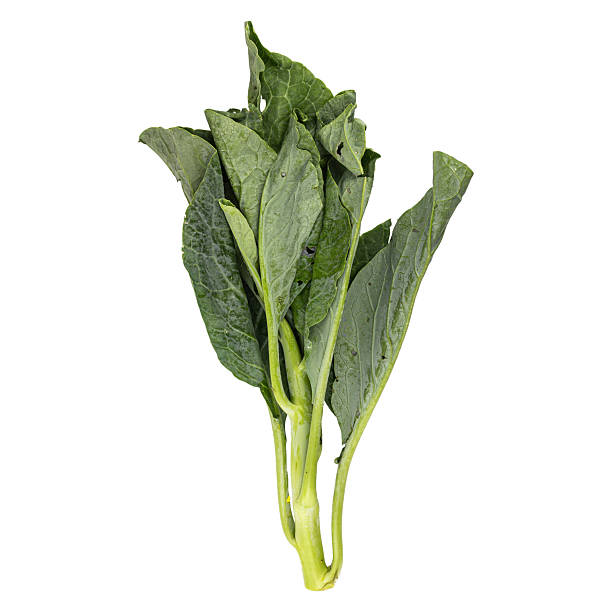 Fresh spinach leaves on white background