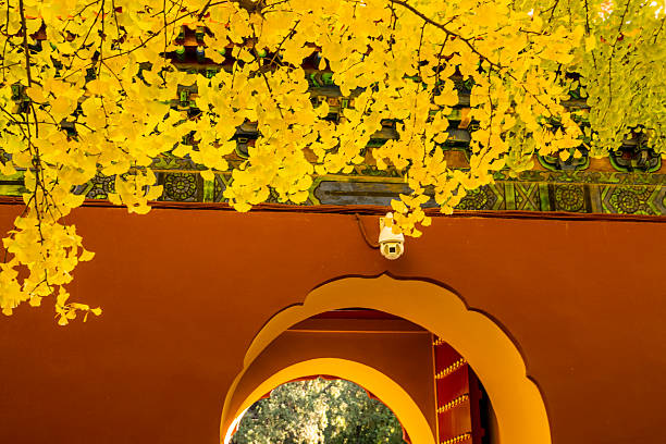 Autumn in the Forbidden City