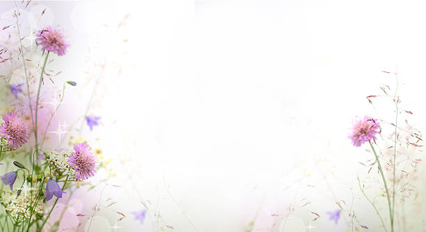 Floral fantasy background with purple wild flower