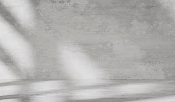 istock Gray background with cement wall texture. Minimalist abstract background for product presentations with soft shadows from the window 2235693612