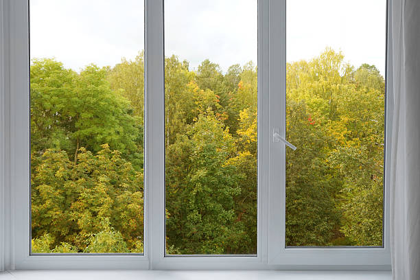 istock View from the window on the garden autumn yellow trees. 2235694369