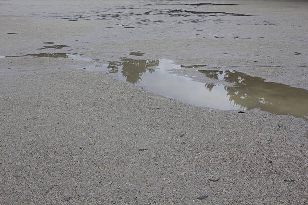 The ground on the sports field is soaked with rainwater. What should normally be a lively place bustling with people playing sports now lies silent and deserted, creating a rather desolate scene.