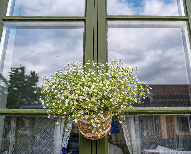 Ornate bars protect a window adorned with a flower box.