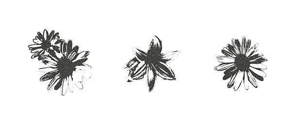 istock Chamomile and lily flowers with photocopy retro effect set. Daisy heads plant. Y2k grain elements. Stippling collage shapes isolated on transparent background. Vector magazine noisy illustration 2235703059