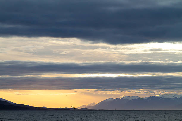 Dramatic sunset over the Beagle Channel in Ushuaia, Tierra del Fuego, Argentina, the southernmost city in the world, with mountains and cloudy sky.\n\nLes Eclaireurs Lighthouse (the French name \