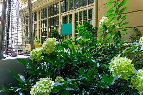 Inside a Colourful Flower Greenhouse