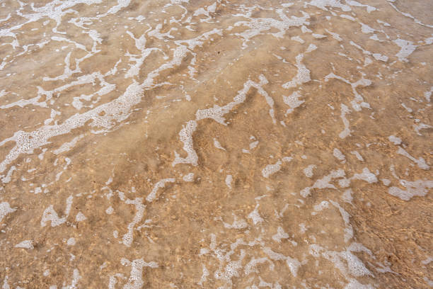 Vigie Beach, Saint Lucia: gentle wave meets the sandy shore. The white, frothy foam of the wave contrasts softly with the golden-brown sand, creating a delicate and calming scene.