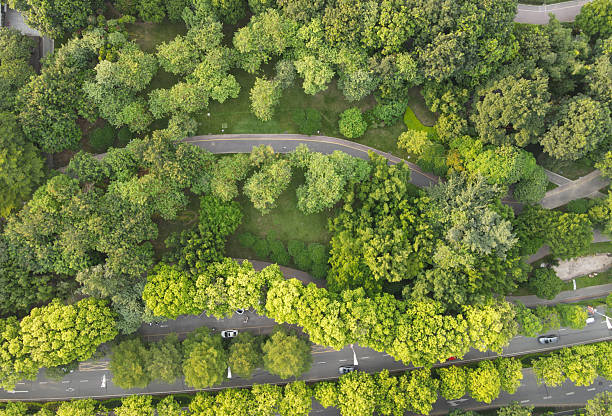 istock The asphalt road  through green land 2235718663
