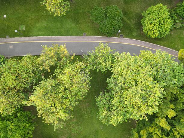 istock The asphalt road through green land 2235718689