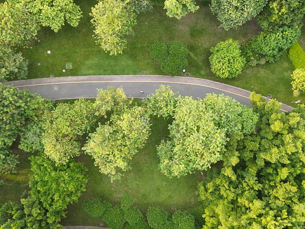 istock The asphalt road through green land 2235718694