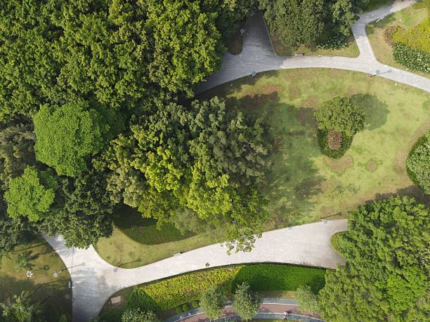 istock The stone pavement path through green land park 2235718706