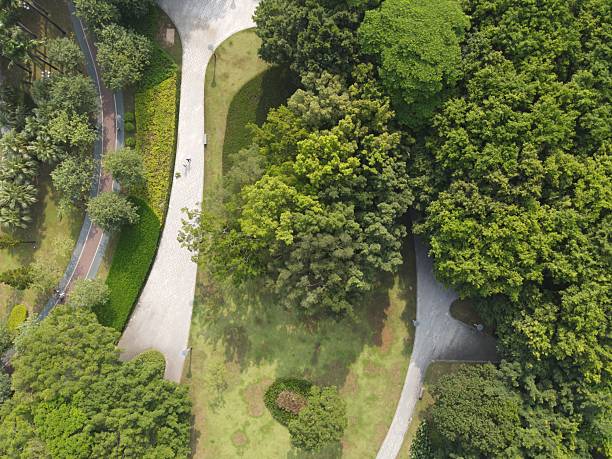 istock The stone pavement path through green land park 2235718710