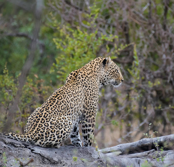 Namibia in its beauty