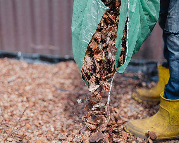 istock A man pours large bark from a bag to cover agrofabric 2235719360