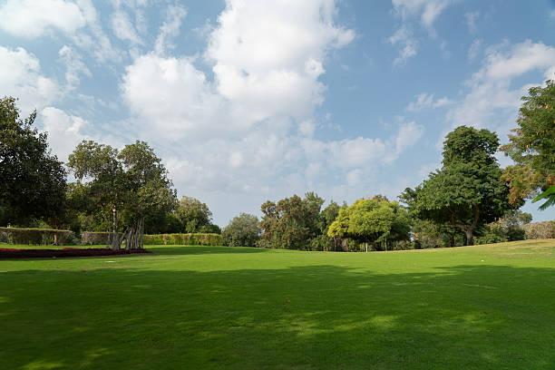 istock Serene morning in Dubai park 2235720404