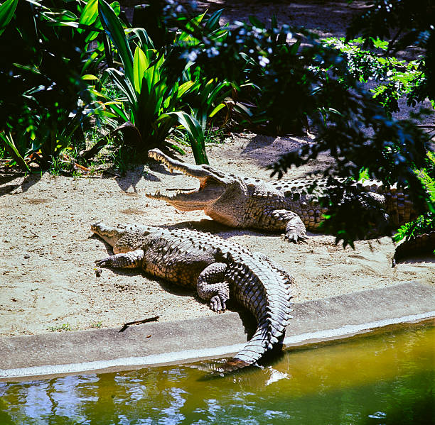 The name of this public park located in the east side of Caracas city is called today 