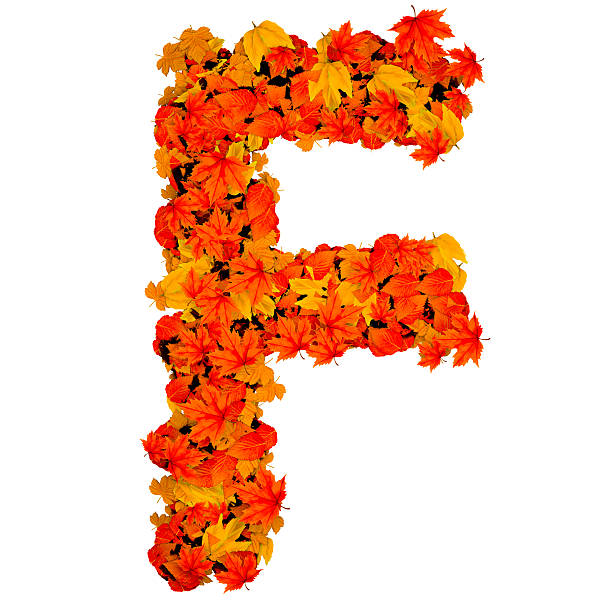 Letter F formed with autumn leaves