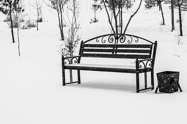 A snow-covered bench in a winter landscape, surrounded by trees. The scene is monochromatic, emphasizing the texture of the snow and the bench's design.