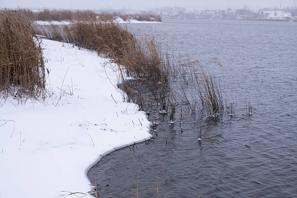 River bank is covered with snow, winter natural landscape during snowfall