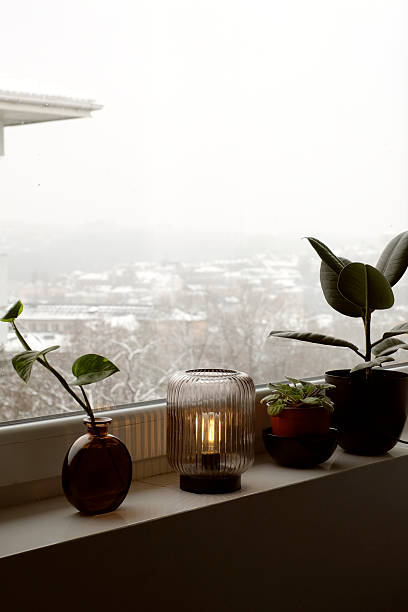 istock Green plants and cozy home decor, looking through window winter view with snow 2235730624