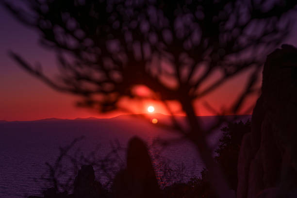 Atmospheric sunset scene in Sardinia, Italy. Silhouettes of Mediterranean plants and rocky formations stand against a glowing horizon, where the sun has just set. The sky is painted in soft gradients of purple, pink, and red, reflecting on the calm sea and creating a tranquil evening mood.