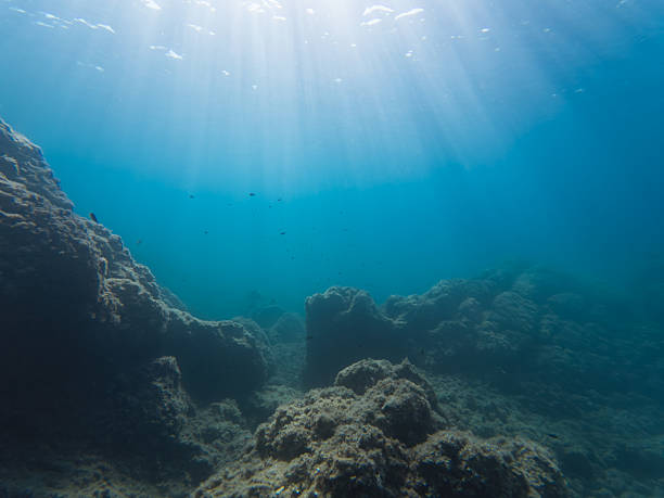 istock Serene underwater landscape with sun rays filtering through clear blue water to illuminate a rocky ocean floor and reef. 2235736342