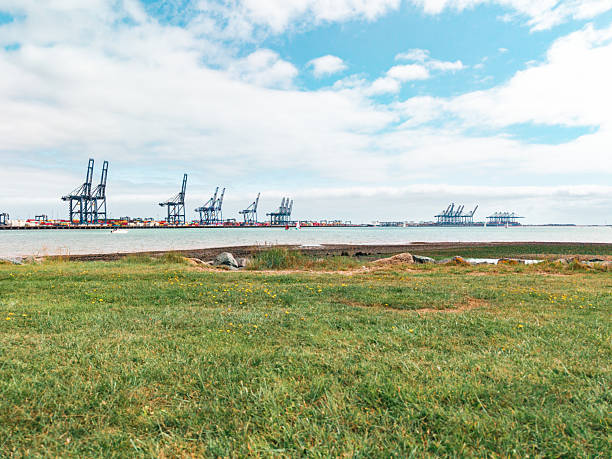 Industrial landscape featuring the port of felixstowe with container cranes and green grass in the foreground