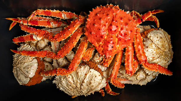 istock Overhead view of king crab among roe-bearing crabs

Description 2235739884