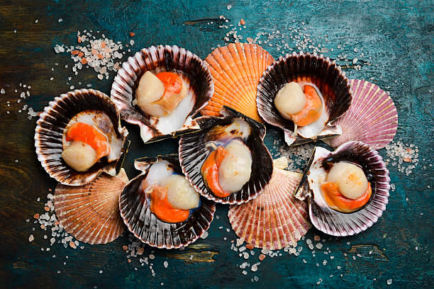 istock Shellfish, raw fresh scallops on a turquoise stone background. Seafood concepts. 2235742250