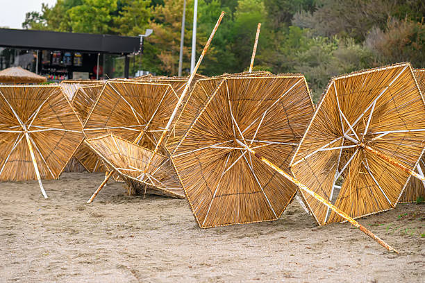 Straw Beach Umbrellas. A row of straw beach umbrellas lying on sandy ground near a beach. Concept of seaside relaxation, end of summer, end of holiday season