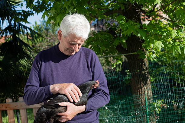 istock Senior farmer holding a black hen in his arms 2235747494
