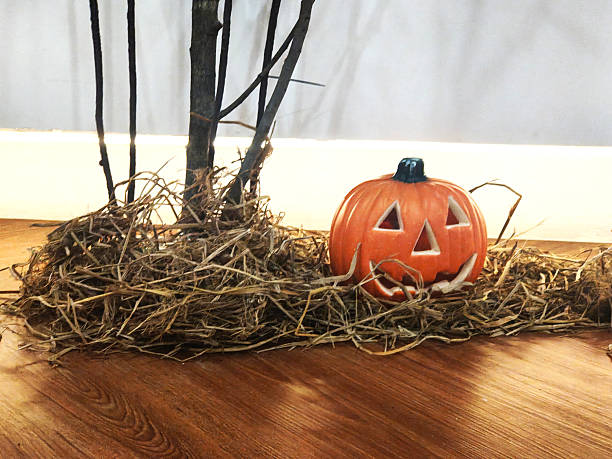 Halloween Pumpkin Decoration on Wooden Floor