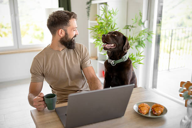 istock Man making online payment with laptop while pet dog rests nearby 2235751517