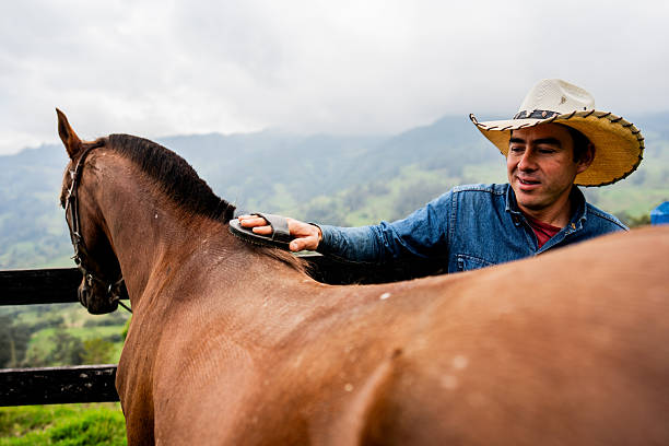 istock Farmer man brushing a horse on a stable 2235751968