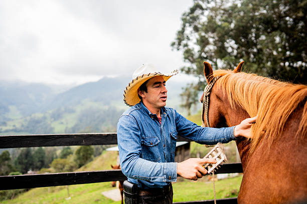 istock Farmer man brushing on horse on a stable 2235751995