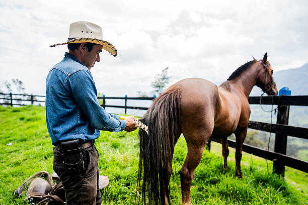 istock Farmer man brushing on horse on a stable 2235751999