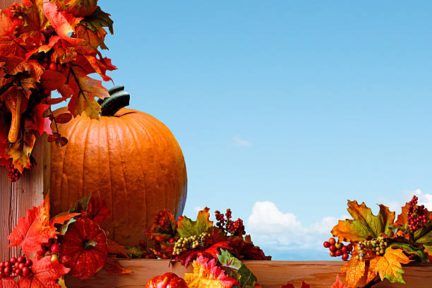 Pumpkin. Autumn fair.