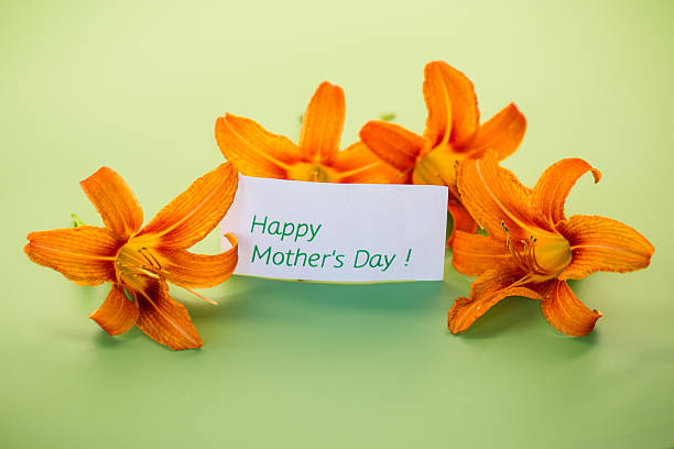 Rich orange lily petals with greeting card.