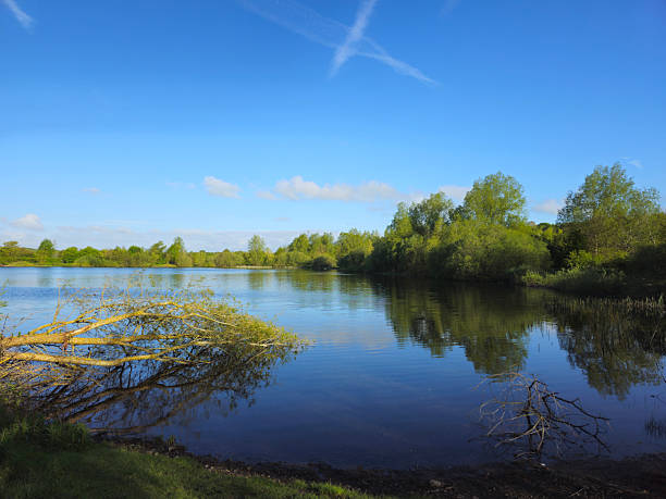 istock UK lake with fallen branches and woodland reflections 2235756160