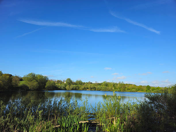 istock UK lake with reeds, tree reflections, and blue sky 2235757403
