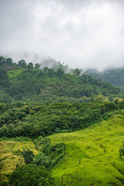 istock Rolling hills under a dramatic cloudy sky. Toma Tungi is a tourist complex and viewpoint in Thanchi, Bandarban, Bangladesh. Overcast Mountain Landscape A Lush Green Terrain Under a Cloudy Sky. 2235762578