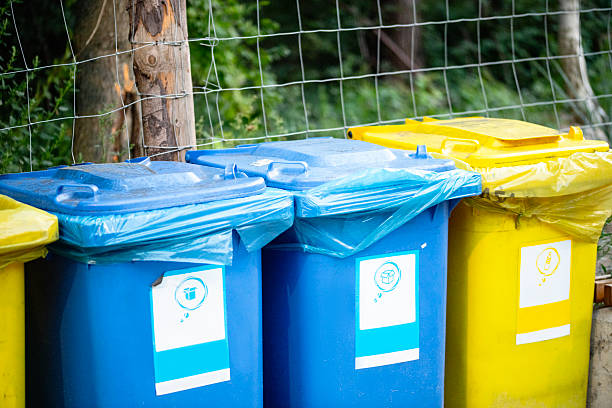 Colorful plastic bins for different waste types . Currently, we segregate garbage, raw materials such as metals and plastics, paper, glass and biodegradable waste and separate them from waste that cannot be recycled. Thanks to this, it is possible to obtain the most valuable raw materials for recycling.
