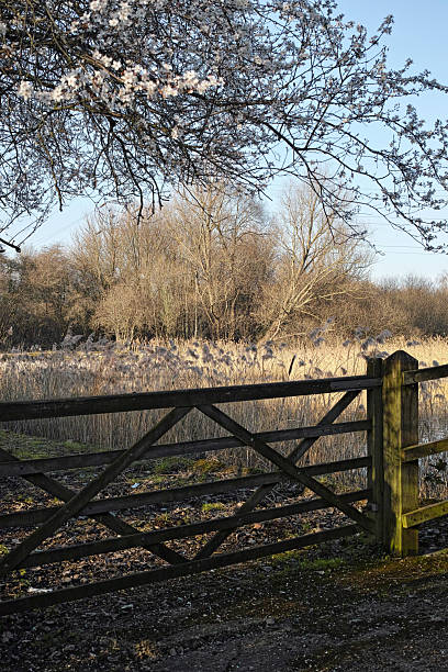 The WaterWorks Centre Nature Reserve in Early Spring