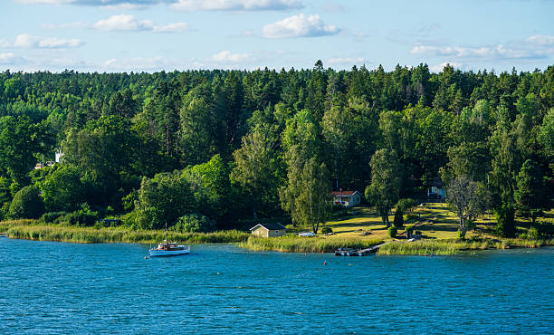 Peaceful lakeside cottages surrounded by forest trees.