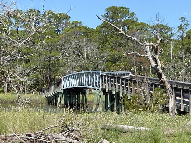 White bridge in the swamp. White bridge at the Magnolia Plantations and Gardens in Charleston, South Carolina.