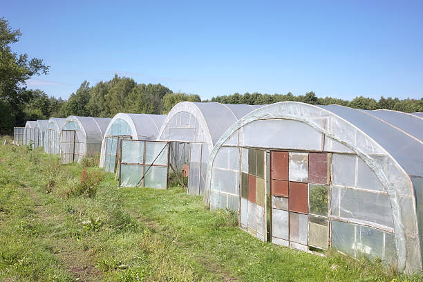 istock Greenhouses on an organic vegetable farm. 2235774914