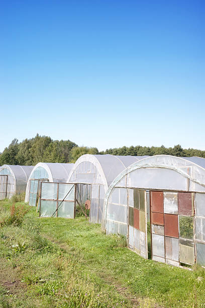 istock Greenhouses on an organic vegetable farm. 2235774925