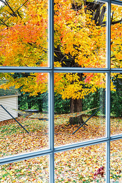 istock Summer Hammock Covered in Autumn Colors Looking Through Bay Window 2235777575