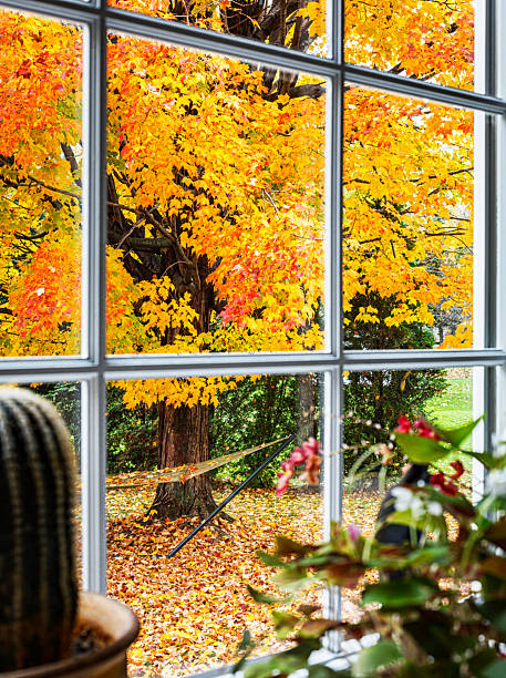 istock Bright Autumn Leaf Colors Viewed Through Bay Window 2235777763